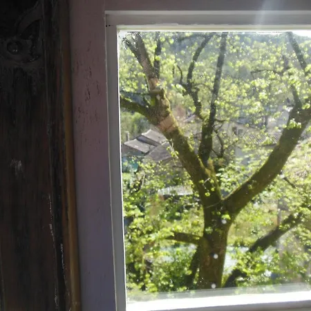 לינה וארוחת בוקר Lion D'or סן-אנטונין