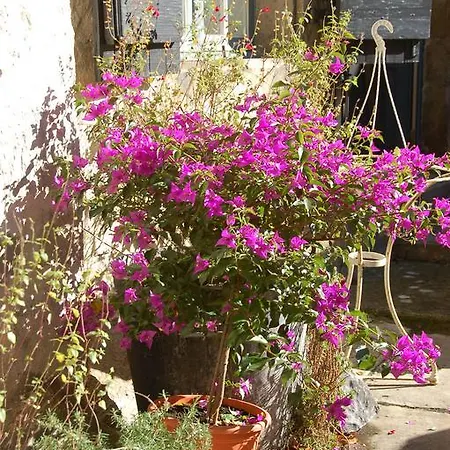 Lion D'or 3* סן-אנטונין