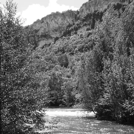 Couette-café Lion D'or