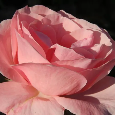 Bed & Breakfast Lion D'or Saint-Antonin