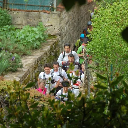 Lion D'or Bed & Breakfast Saint-Antonin