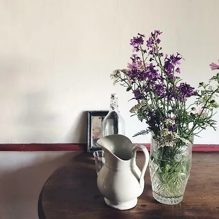 Lion D'or Saint-Antonin