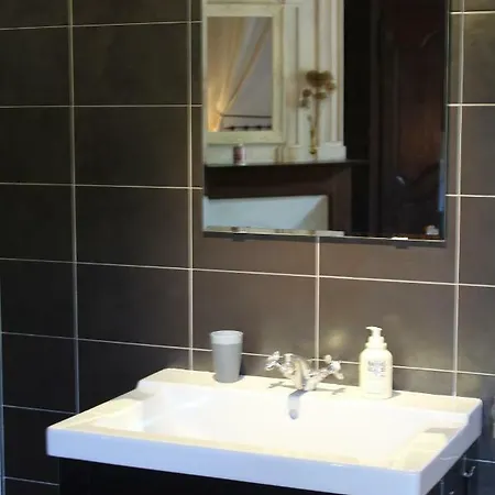 Lion D'or 3* Saint-Antonin