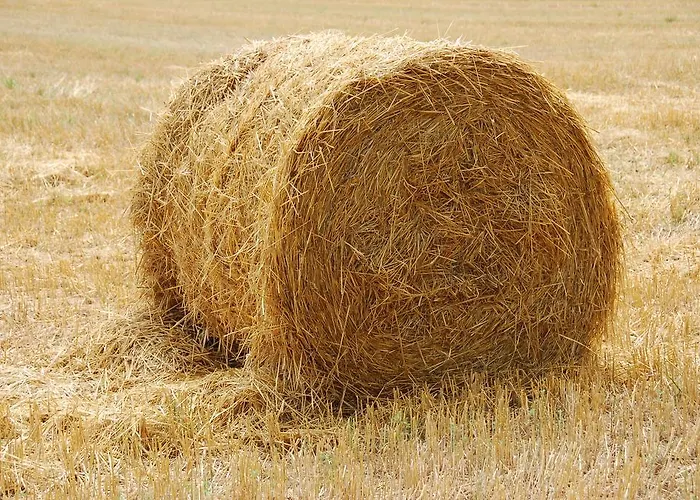 Lion D'or Отель типа 