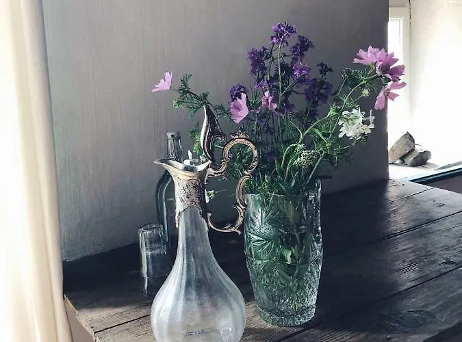 Lion D'or 3* Сент-Антонен